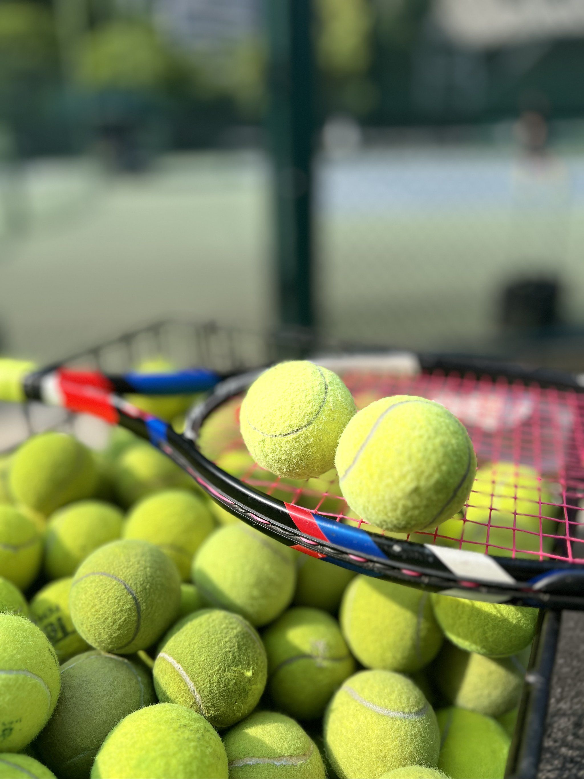 有重要意义 有重要意义