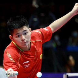 来留住目光 来留住目光